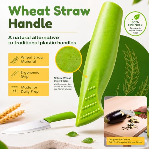 Ceramic Chef Knife (8 inch)