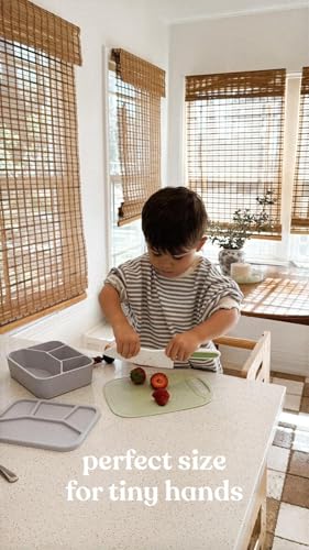 Leak Proof Square Bento Box Food (Periwinkle)