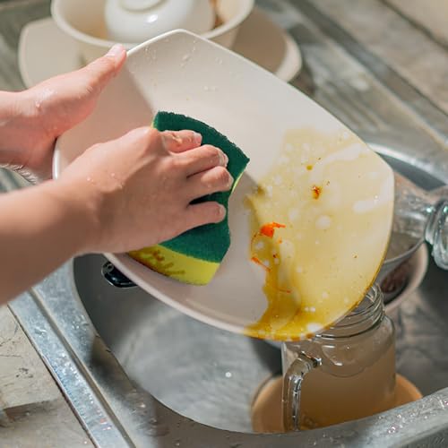 Kitchen Cleaning Sponges (24 pack)