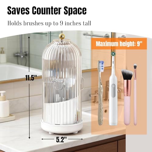 Dustproof Toothbrush Holder Organizer with Drainage (White)