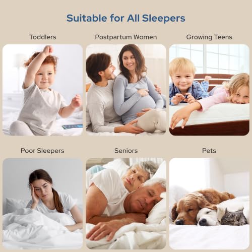 Waterproof Mattress Protector (3 Navy Blue / Queen)