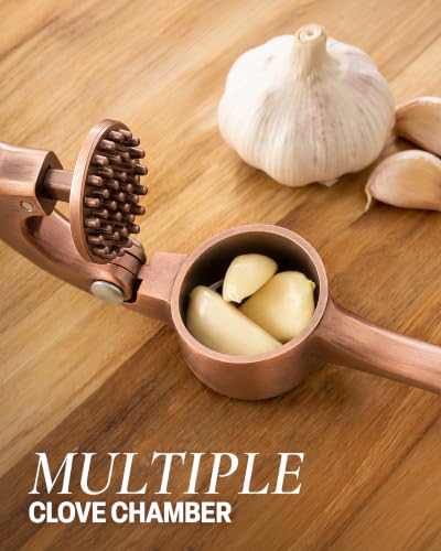 Premium Garlic Press Set (Large | Copper)