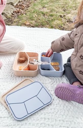 Leak Proof Square Bento Box Food (Periwinkle)