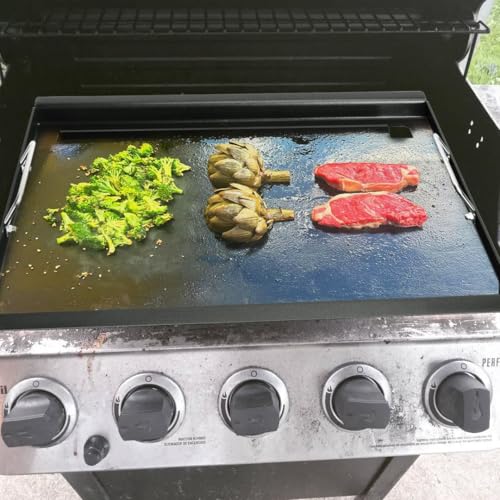 Full Size Griddle Insert for CharBroil Performance 5 Burner Series (18" x 27")