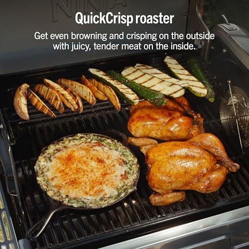 FlexFlame Grill & Smoker (Stainless Steel)