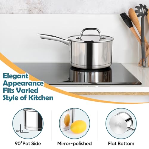 3 Qt Saucepan with Lid (3 Quarts)