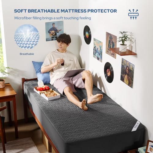 Waterproof Mattress Protector (1 Gray / Twin)