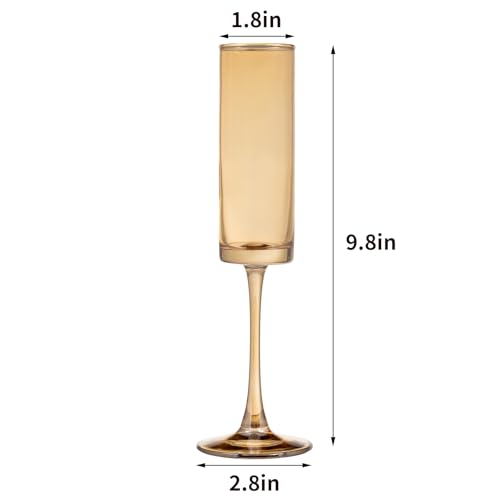 Crystal Champagne Flutes Set of 24 (24 Count)