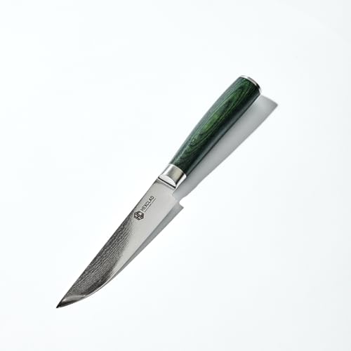 Green 4 Piece Damascus Steel Steak Knife Set (4 Count)