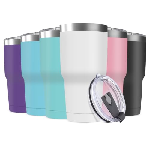 30oz Stainless Steel Travel Mug with Lid (Assorted Colors / 6 Count (Pack of 1))