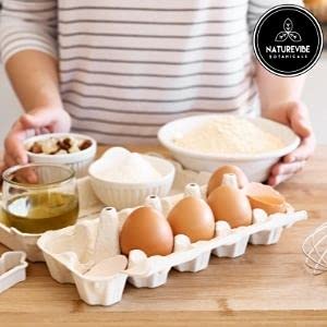 Naturevibe Botanicals Chickpea Flour 5lb Premium Quality | Used for Baking and as Thickener - Nestoria