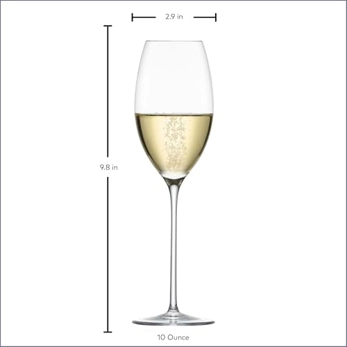 Enoteca Champagne Glass