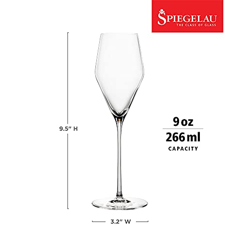 Definition Champagne Flutes (2 Count)