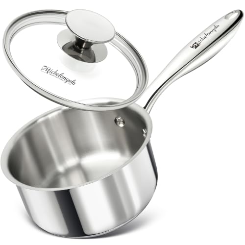 1 Quart Stainless Steel Saucepan with Lid
