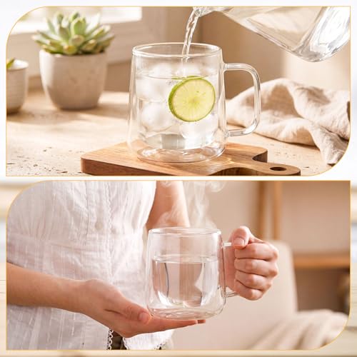 Glass Coffee Mugs Set of 4 (350ml / Clear)