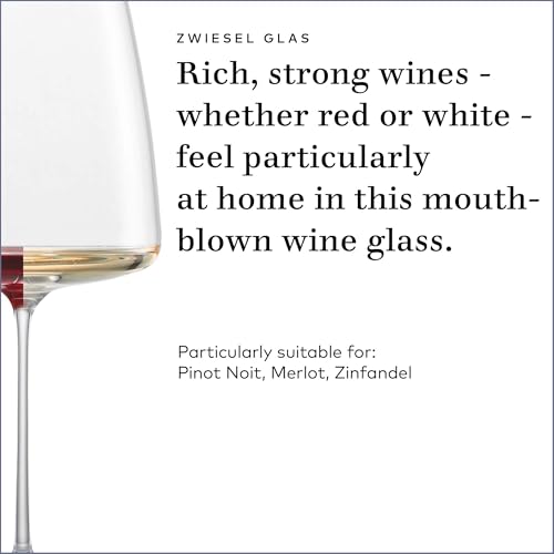 Simplify Burgundy Red Wine Glass