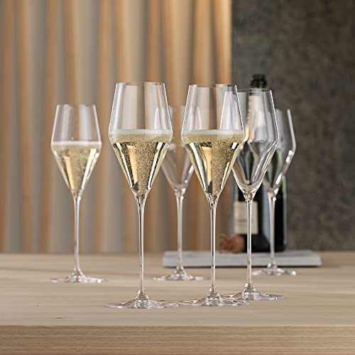 Definition Champagne Flutes (8.8 Count)