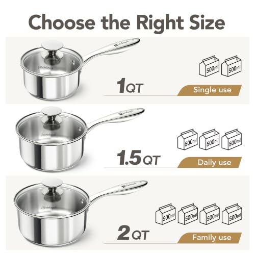 1 Quart Stainless Steel Saucepan with Lid