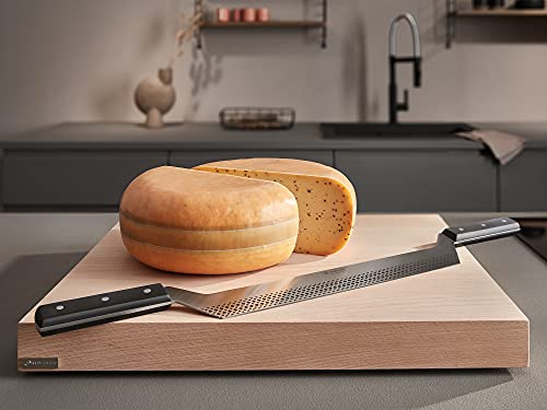 12" Double Handle Cheese Knife