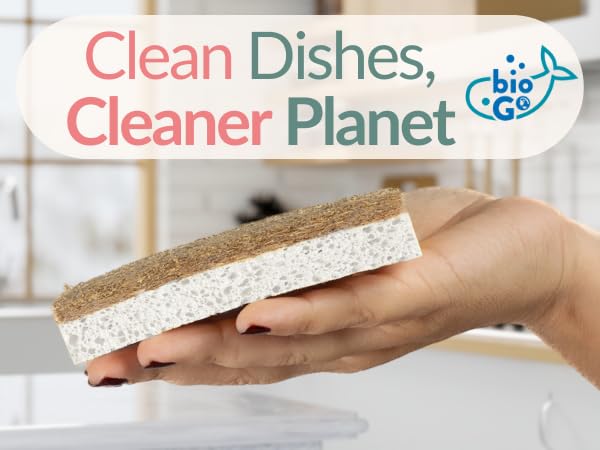 White 12 Pack Biodegradable Kitchen Sponge (12 Count)