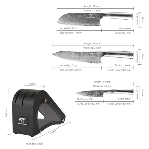 Damascus Kitchen Knife Set with Block (4 Count)