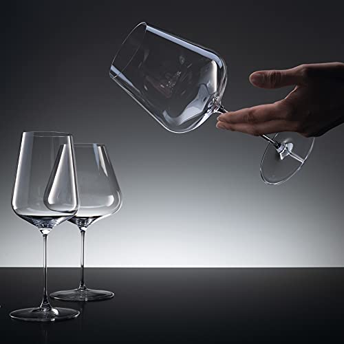 Definition Champagne Flutes (2 Count)