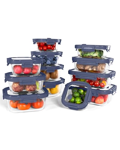 12 Pack Glass Containers with Tempered Lids (Tempered Lids Blue / 12 mixed sizes)