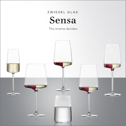Sensa Sparkling Wine Glass (6 Count)