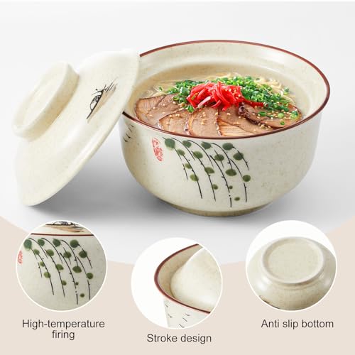 25oz Ramen Bowls Set of 4 Japanese Dinnerware Set with Lid (Mixed)
