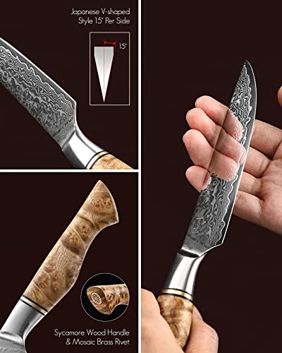 6PCS Kitchen Knife Set Professional Forged Damascus High Carbon Steel Steak Knife Figured Sycamore Wood Handle (6 Count)