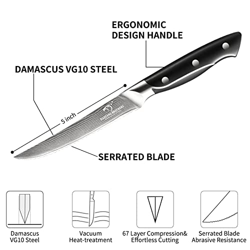 18 Pieces Damascus Kitchen Knife Set (18 Count)