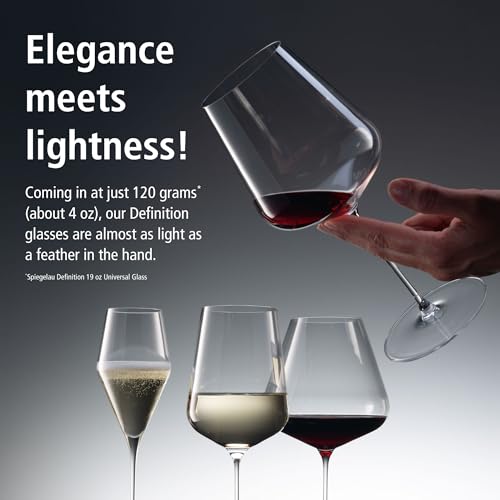 Definition Burgundy Wine Glasses Set of 2 (2 Count)