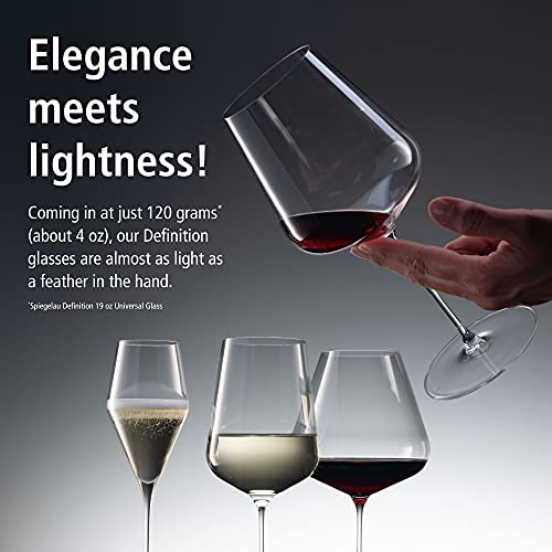 Definition Champagne Flutes (8.8 Count)