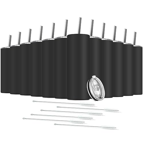 Tumbler with Straw and Lid (Black / 12 Count (20 oz))