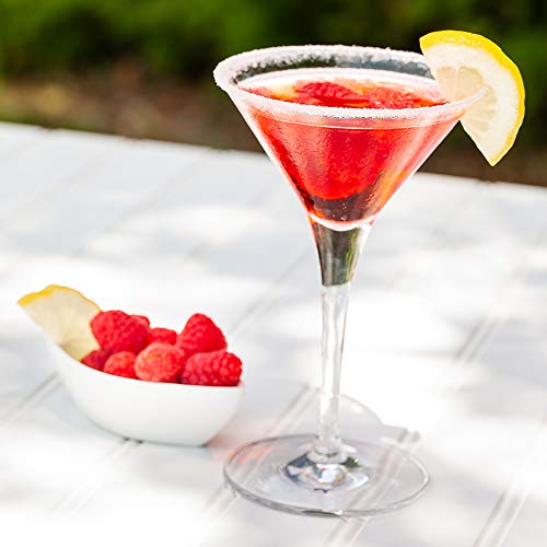 Voglia Nude 5 Ounce Martini Glasses (12 Count)
