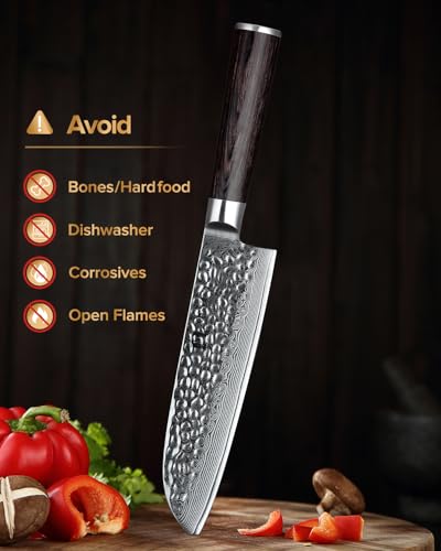 Kitchen Cutting Knife Set of 5 Piece