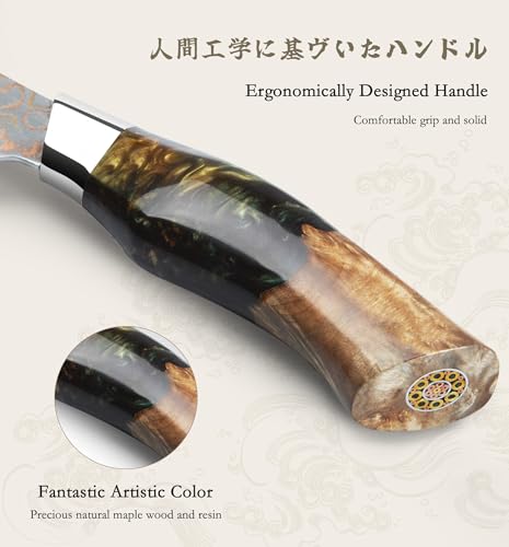 Damascus Fillet Knife 7 Inch