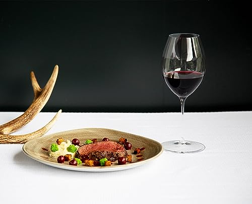 Veritas Old World Syrah Glass (2 Count)