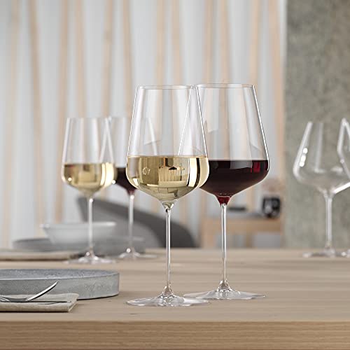 Definition Champagne Flutes (2 Count)