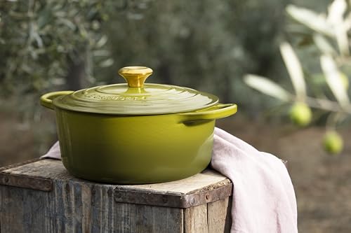 Enameled Cast Iron Round Dutch Oven