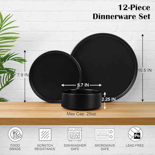 Stoneware Dinnerware Sets (12 Count)
