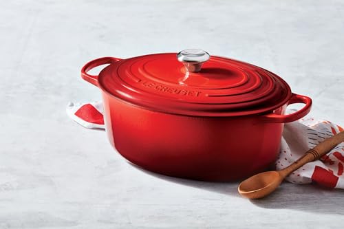 Enameled Cast Iron Oval Dutch Oven