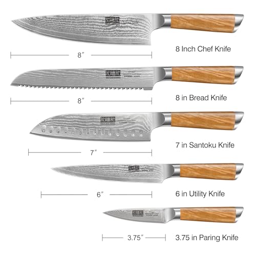 Damascus Kitchen Knife Set 5PCS (5 Count)
