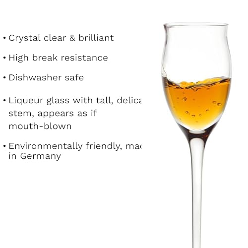 Liqueur Glasses Quatrophil Set of 6