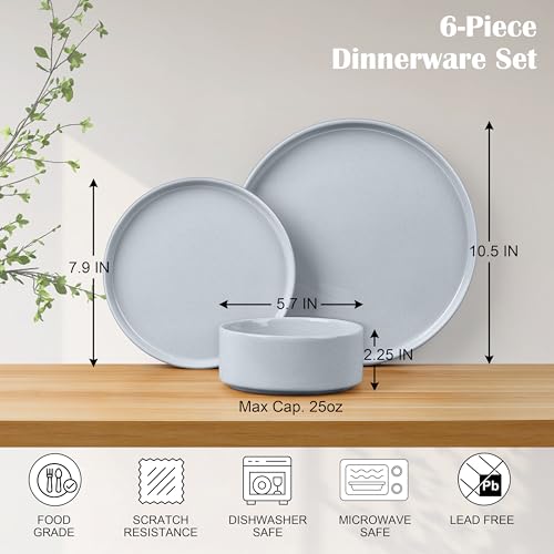 6 Piece Stoneware Dinnerware Sets (6 Count)