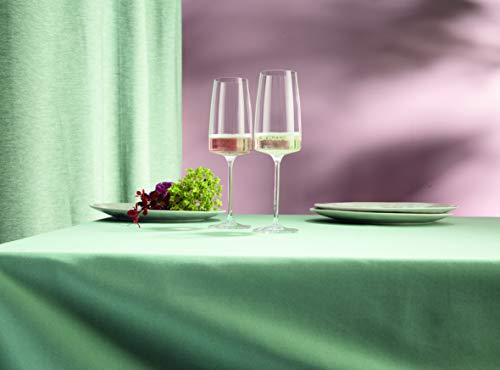 Sensa Sparkling Wine Glass (6 Count)