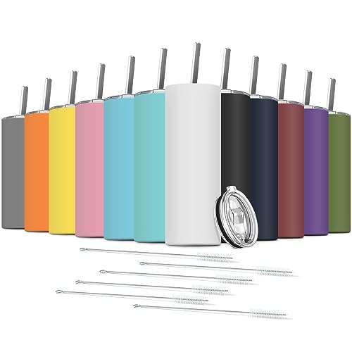 Tumbler with Straw and Lid (Assorted Colors / 12 Count (20 oz))