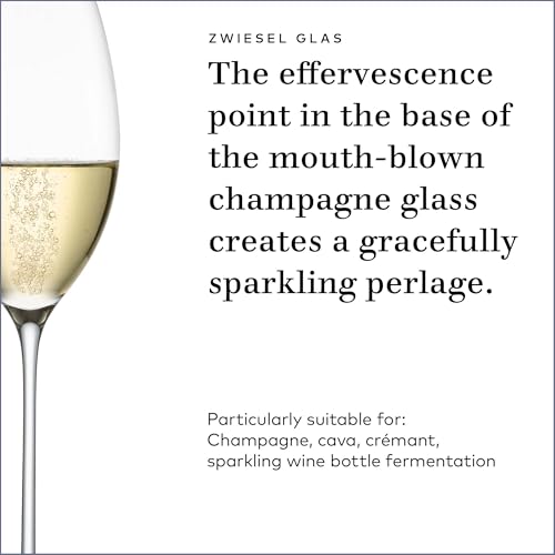 Enoteca Champagne Glass