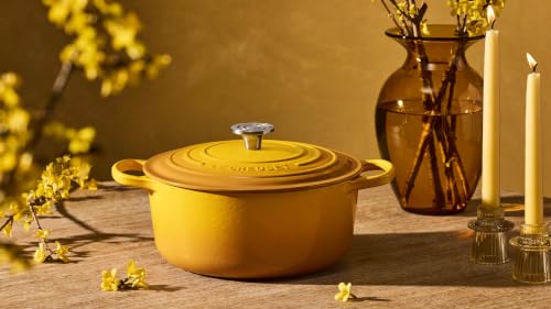 Enameled Cast Iron Round Dutch Oven