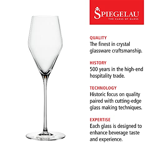 Definition Champagne Flutes (8.8 Count)